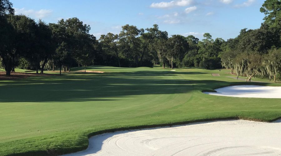 Best Golf Courses in Houston: A Golfer’s Paradise