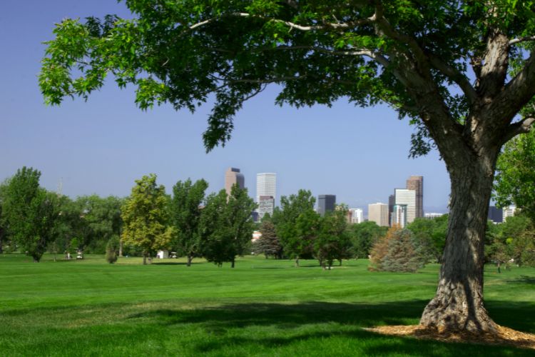 Discovering the Charm of Denver's Golf Scene