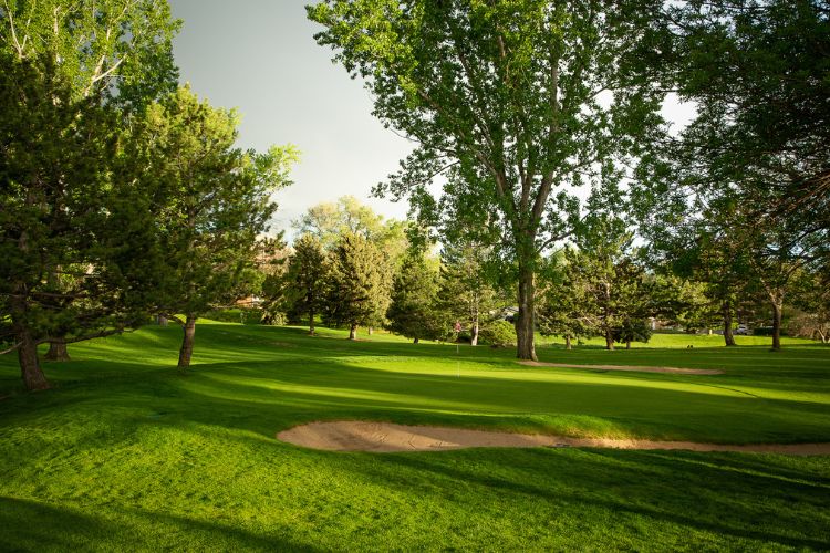 A serene view of Willis Case Golf Course, featuring lush greens, mature trees, and a well-placed sand bunker.